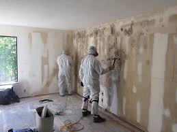 Reliable Plymouth, NC Mold Removal & Remediation Solutions